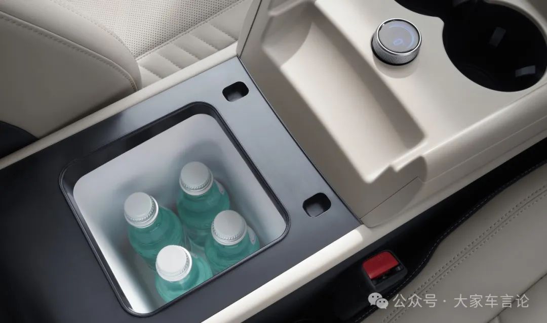 BYD Qin L EV Group Photo